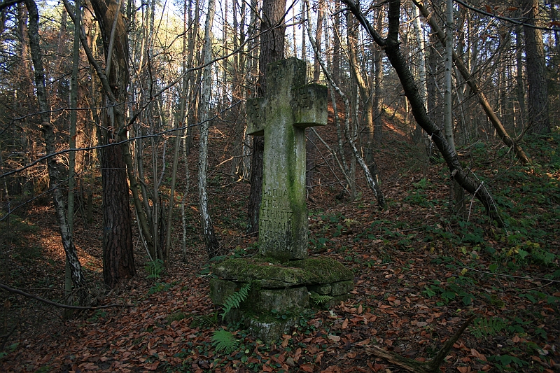 Rostoczek 11.2008 419